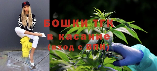 молекула духа Козельск