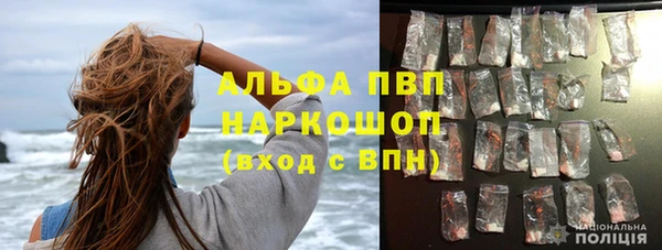 молекула духа Козельск