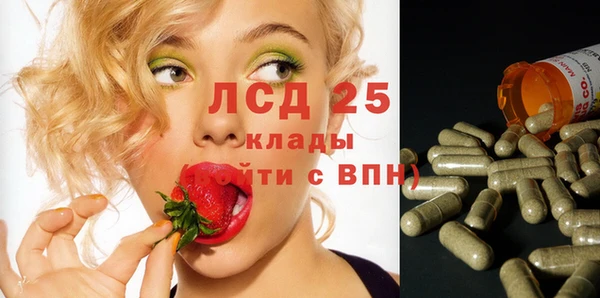 молекула духа Козельск
